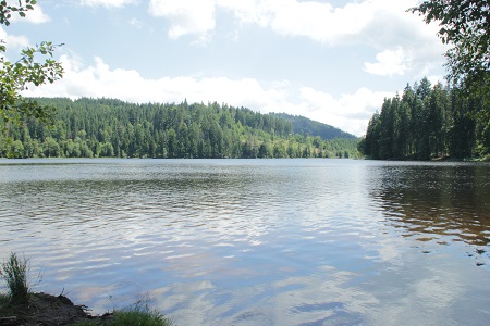 Windgfaellweiher