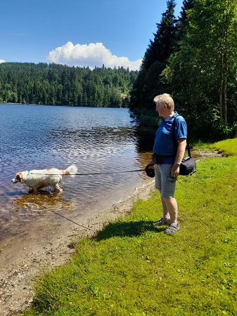 Windgfaellweiher