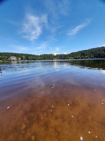 Windgfaellweiher