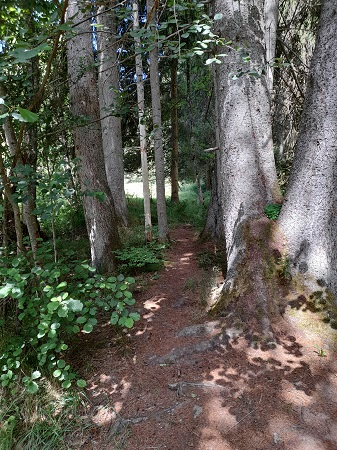 Haslachschlucht