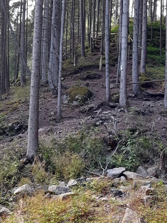 Haslachschlucht