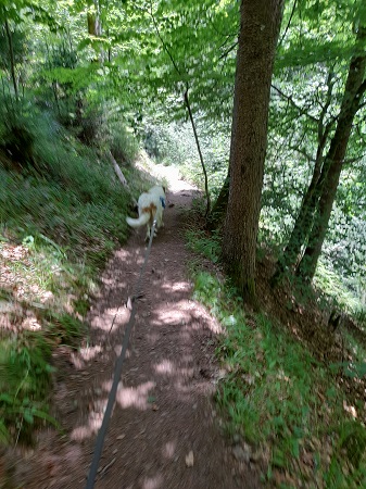 Haslachschlucht