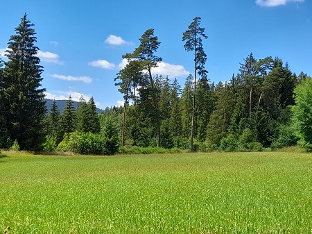 Haslachschlucht
