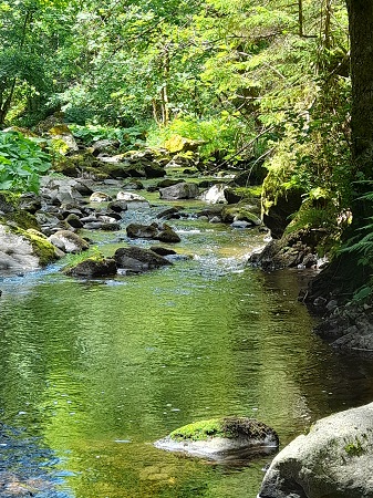 Haslachschlucht