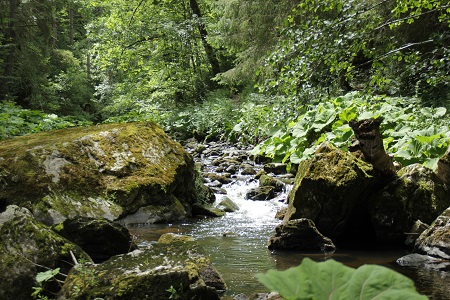 Haslachschlucht