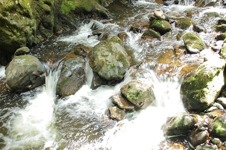 Haslachschlucht