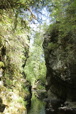 Haslachschlucht