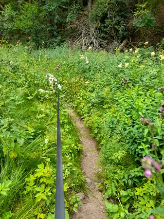Haslachschlucht