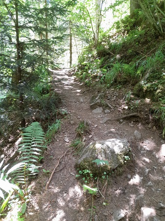 Haslachschlucht