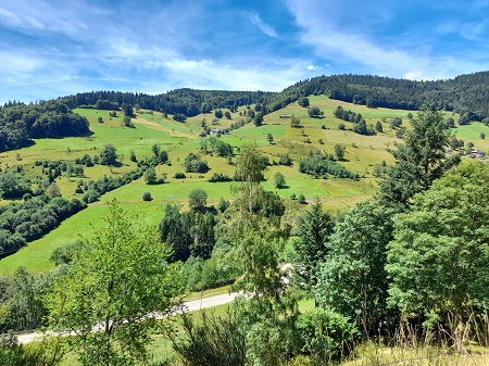 Todtnauer Wasserfall