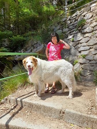 Todtnauer Wasserfall