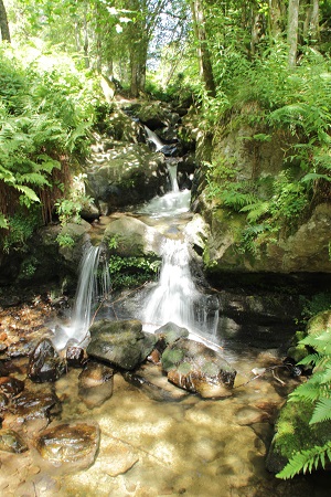 Todtnauer Wasserfall