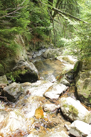 Todtnauer Wasserfall