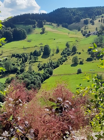 Todtnauer Wasserfall