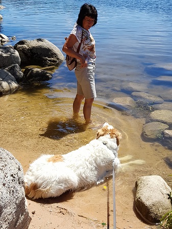 Schluchsee