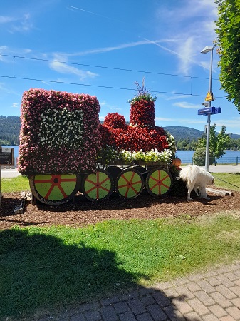 Schluchsee