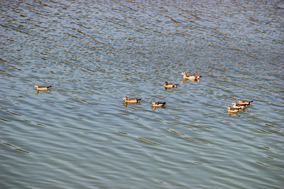 Edersee