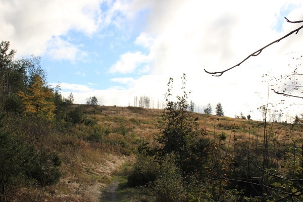 Braunlage