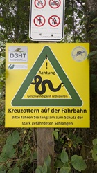 Ob wir welche sehen?