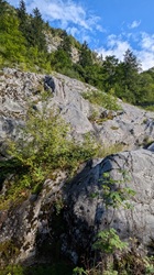 Gletschergarten 02