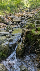 ... direkt am Frillenseebach
