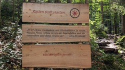 könnte mein Motto sein