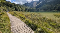 Frillensee - Holzsteg über das moorige Ufer