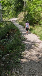 gemütlicher Aufstieg zur Steiner Alm beginnt