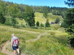 Steiner Alm in Sicht