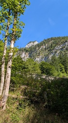 bald oben