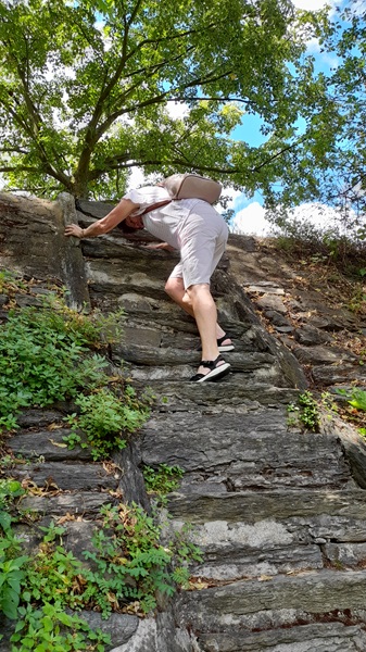 Loreley