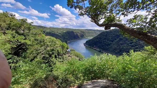Loreley