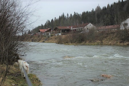 Talrunde
