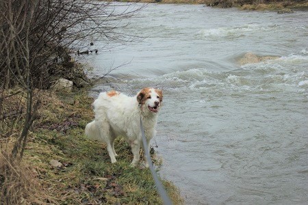 Talrunde