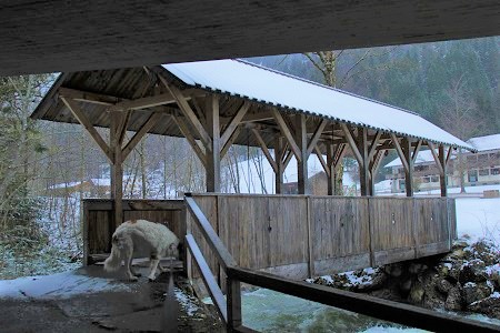 Fallmühle
