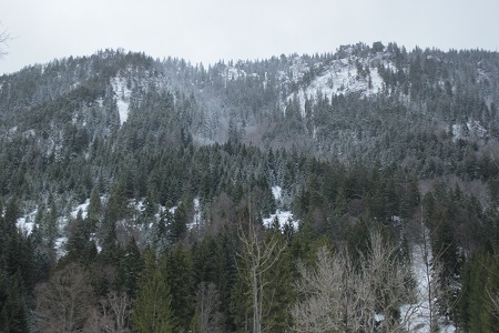 Fallmühle