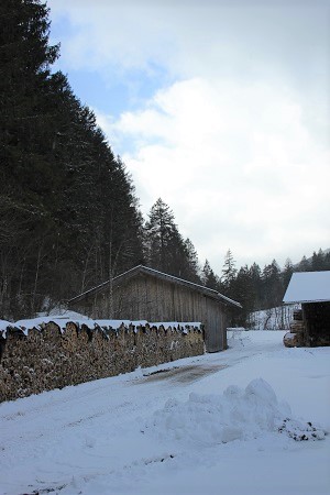 Vilstal