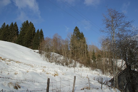 Vilstal