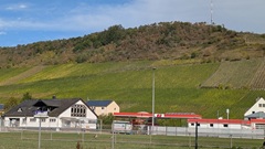 Auf dem Weg nach Traben - Sportplatz und Weinberge