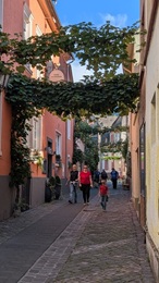 Gasse mit Weinreben