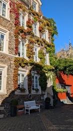 Weinbewachsene Fassade