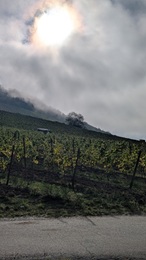 langsam quält sich die Sonne durch