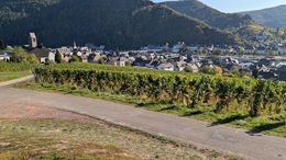 zurück in Traben