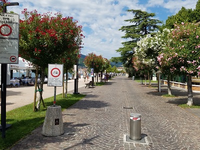 Salo