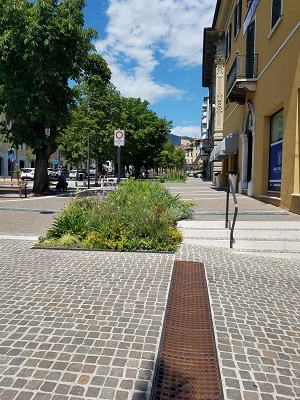 Salo