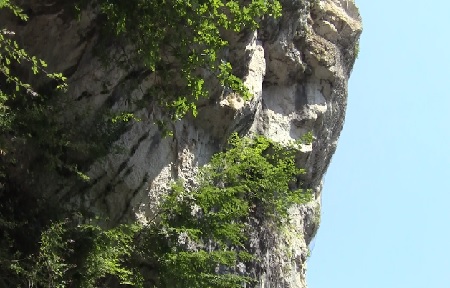 Molina