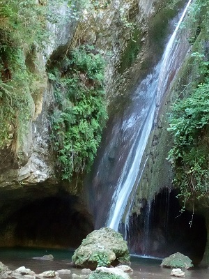 Molina