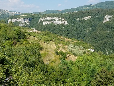 Molina