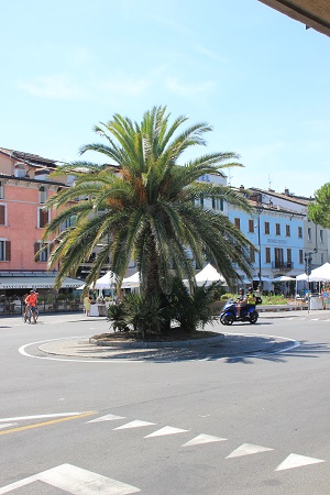 Desenzano