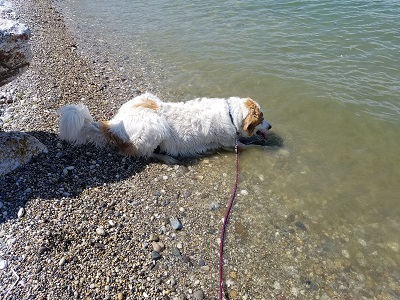 Desenzano